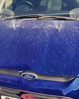 Spencer's Valeting